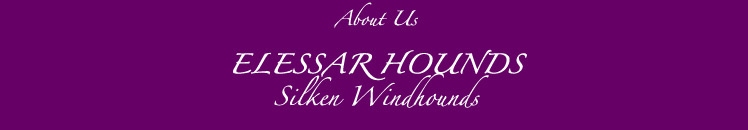 About Elessar Hounds Silken Windhounds