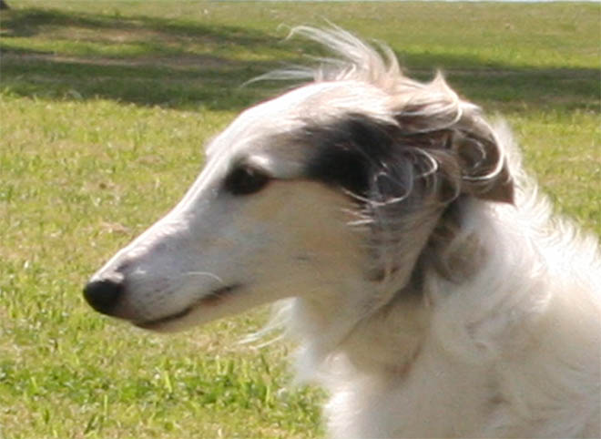 Isis - breezy head turn