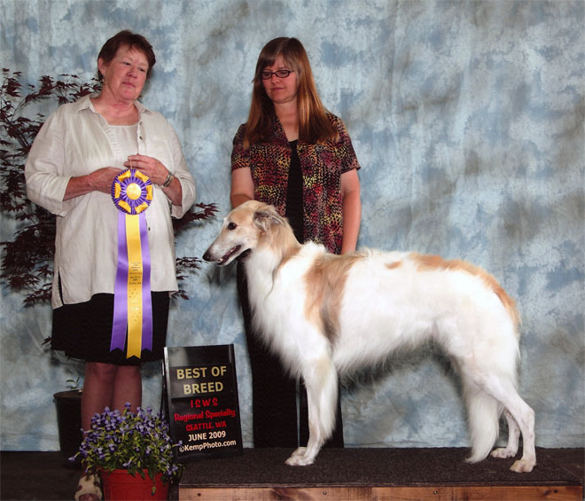 Tuscan - Best in Specialty Show