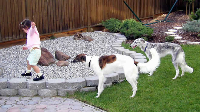 Strider and Kyra with Maya